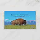 Pesquisar por bison cartao de visita Animais