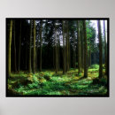 Pesquisar por surreal pôsteres pósteres Natureza selvagem