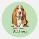 Pesquisar por basset hound adesivos Animal de estimação