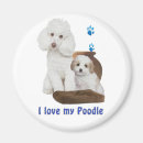 Pesquisar por ração imas Engraçado