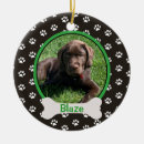 Pesquisar por animal novo ornamentos Cachorros
