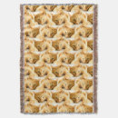 Pesquisar por gatinhos gatinhos mantas Bonito