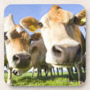 Pesquisar por câmera porta copos Unidade