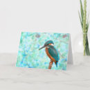 Pesquisar por kingfisher cartoes Azul