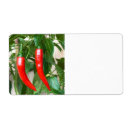 Pesquisar por especiarias etiquetas Pimenta