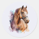 Pesquisar por cavalo marrom adesivos Equino