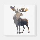Pesquisar por moose imas Natureza