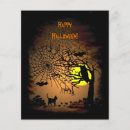 Pesquisar por o da coruja flyers Abóbora