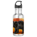 Pesquisar por ursos garrafa agua Natureza