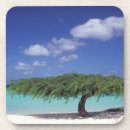 Pesquisar por aruba porta copos Oceano