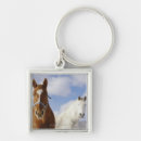 Pesquisar por imagens dos cavalos chaveiros Natureza