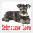 Pesquisar por cão schnauzer adesivos Cãozinho
