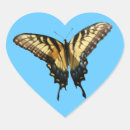 Pesquisar por borboletas coloridas adesivos Qualquer pessoa