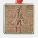 Pesquisar por anatomia ornamentos Corpo