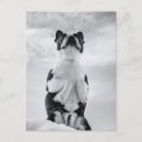 Pesquisar por cão da neve cartoes postais Cachorrinho