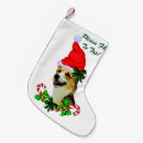Pesquisar por corgi meias de natal Feriado