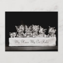 Pesquisar por gato preto vintage cartoes postais Preto e branco