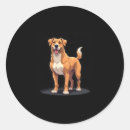 Pesquisar por dogo adesivos Cães