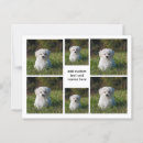 Pesquisar por montagem cartoes postais Colagem de fotos