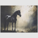 Pesquisar por cavalo preto Natureza