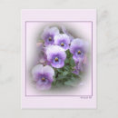 Pesquisar por pansies pastel Flores