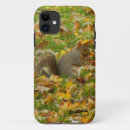 Pesquisar por esquilo iphone capas Animal