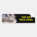 Pesquisar por gatinho outros Para todos