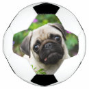 Pesquisar por olhos bola futebol Cãozinho