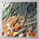 Pesquisar por raiz quadrada pósteres Qualquer pessoa