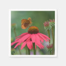 Pesquisar por flor cor de rosa do cone Echinacea