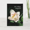 Pesquisar por cumprimento da tulipa Fotografia