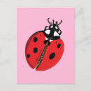 Pesquisar por lady bug cartoes postais Joaninha