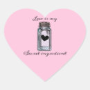 Pesquisar por top secret adesivos Para ela