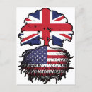Pesquisar por usa cartoes postais Eua