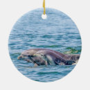 Pesquisar por mãe natureza ornamentos Animais selvagens