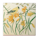 Pesquisar por amarelo preto azulejos Vermelho