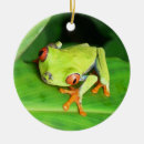Pesquisar por costa ornamentos Natureza