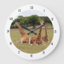 Pesquisar por fóssil relogios de parede Natureza