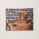 Pesquisar por pom do brinquedo Pomeranian