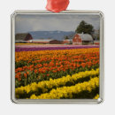 Pesquisar por flor do campo ornamentos Ninguém