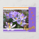 Pesquisar por abelha colorida cartoes postais Para todos