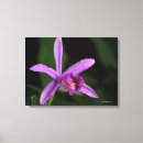 Pesquisar por orquídeas roxas impressão de canvas Fotos da flor
