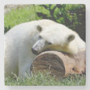 Pesquisar por urso polar porta copos Animais