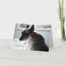 Pesquisar por miniature schnauzer cartoes postais Pet