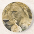 Pesquisar por mcdonald porta copos Vida selvagem