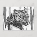 Pesquisar por do animal selvagem cartoes postais Tropical