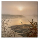 Pesquisar por exterior azulejos Ouro