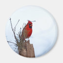 Pesquisar por carga imas Vermelho