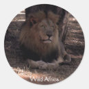 Pesquisar por lion adesivos África