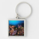 Pesquisar por mergulho mergulho chaveiros Aventura